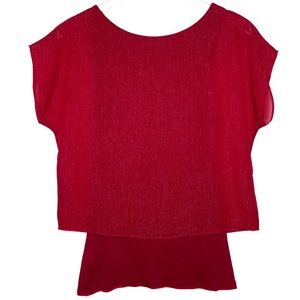 Express Short Sleeve Metallic Top